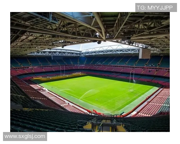 首尔足球俱乐部：激情与梦想交织的绿茵场上演绎精彩传奇