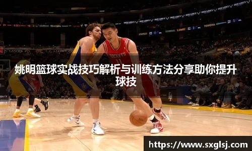 姚明篮球实战技巧解析与训练方法分享助你提升球技