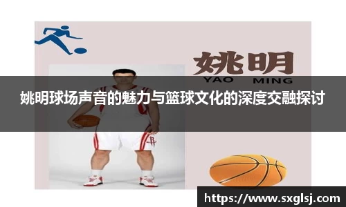 姚明球场声音的魅力与篮球文化的深度交融探讨