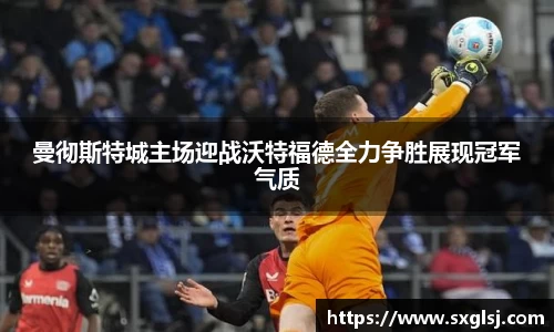 曼彻斯特城主场迎战沃特福德全力争胜展现冠军气质